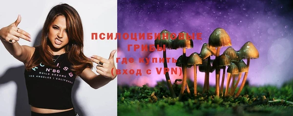 спиды Алзамай