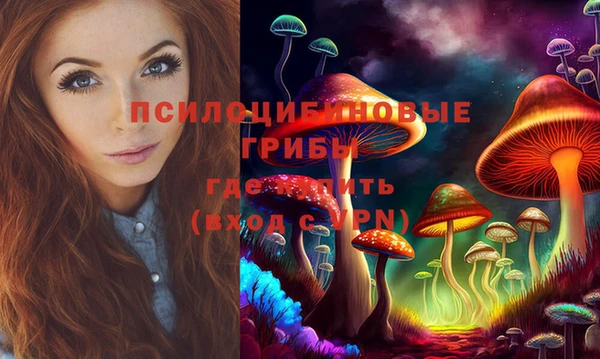 спиды Алзамай