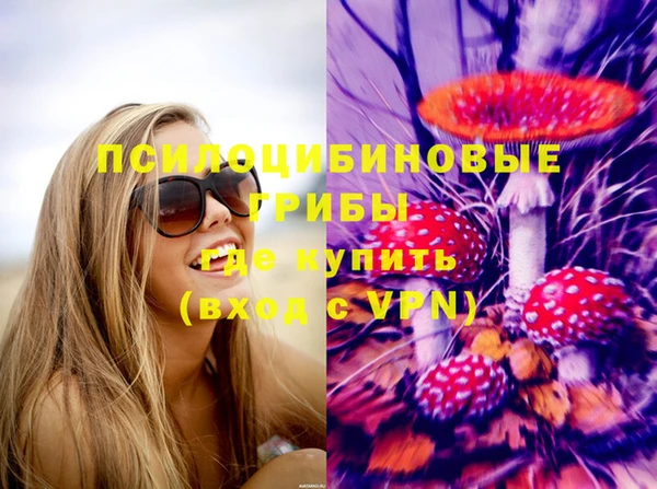 винт Алексеевка