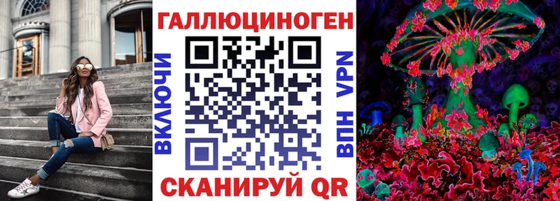 Галлюциногенные грибы Psilocybe  купить   Ладушкин 